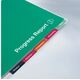 GBC Folia Organise Pouch A4 2x125mic dziurk. (3743156) 716519 33816033085