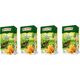 Big Active HERBATA ZIELONA Z POMARAŃCZĄ LIŚĆ BIG-ACTIVE 100G 17453044 948028 5905548350172