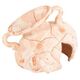 Zolux Fragment amfory piaskowanej "Słoń" 13,5 cm 1106338 3336023510453