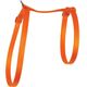 Zolux Szelki dla kota nylon 10 mm pomarańczowy 1107445 3336029461322