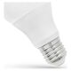 Spectrum LED GLS E27, 230V, 7W, CW (WOJ13899) 1225709 5907418765970