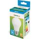 Spectrum LED GLS E27, 230V, 7W, CW (WOJ13899) 1225709 5907418765970