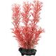 Tetra DecoArt Plant M Foxtail Red 1486326 4004218270411