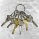 Breloczek Nite Ize KeyRing+ 6 x micro karabińczyk ze stali nierdzewnej (KRGS-11-R3) 1682665 94664026261