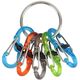 Nite Ize KeyRing + 5x micro karabińczyk transparentny mixkolorów (KRGP-11-R3) 1682669 94664040021