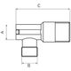 Ferro Zawór kątowy 1/2"x3/4"  (Z1234G) 3170810 5901095659935