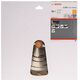 Bosch Tarcza pilarska Construct Wood 250 x 30mm 20z (2608641774) 3243364 3165140455626