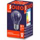Helios Żarówka wysokotemperaturowa Soleo 60W E27 A55 230V (WST-0006) 4036741 5907758827338