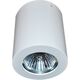 Lampa sufitowa Azzardo Boris 1x50W  (gm4108wh) 4161509 5901238410546