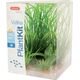 Zolux Dekoracja roślinna PlantKit Wiha model 1 (352140) 4961156 3336023521404