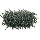 Lampki choinkowe Retlux 600 LED kolorowe 5671062 8590669223770