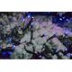Lampki choinkowe Retlux 150 LED niebieskie 5671065 8590669259083