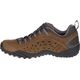 Buty trekkingowe męskie Merrell Intercept brązowe r. 46 (J598633) 5851150 884547985613