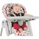 Chicco Polly Progress5 Anthracite 6254849 8058664090761