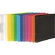 Segregator Pagna 2-ringowy A4 16mm przezroczysty (20901-19) 6415315 4009212020000