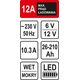 Sthor STHOR PROSTOWNIK 6/12V 12A 210Ah LED T82544 6419956 5906083037818