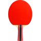 Cornilleau Rakietka Sport 300 6579043 3222764330002