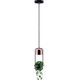 Lampa wisząca Paulmann Oprawa wisząca Neordic Fanja 1x20W GU10 Czarny/Miedź 230V Metall PL79749 6667065 4000870797495