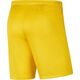 Nike Szorty JR Park III Knit 719 r. 164 cm (BV6865-719) 6722314 193654348052