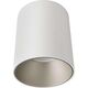 Lampa sufitowa Nowodvorski Spot Nowodvorski Eye Tone 8928 1x10W GU10 LED sufitowy biały/srebrny 6743704 5903139892896