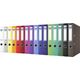 Segregator Donau Master 2-ringowy A4 50mm biały (3950001PL-09) 6802056 5901498011675