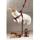Zolux Szelki IMAO SCOTT 25 mm kol. granatowy 7244039 3336027667559