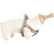 Zolux Szelki IMAO MAYFAIR 25 mm kol. szary 7244043 3336024667736