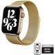 Crong Pasek ze stali nierdzewnej Crong Milano Steel do Apple Watch 42/44 mm złoty 7315725 5907731986267