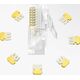 Ugreen Ugreen 100x wtyk wtyczka złączka końcówka RJ45 8P8C Cat 6 przezroczysty (60558) 7363552 6957303865581