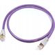 Melodika Melodika MDLAN03 Kabel sieciowy (skrętka) Ethernet F/UTP RJ45 Cat. 6e - 0,3m 7543307 5907609006592