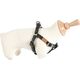 Zolux Szelki IMAO PICCADILLY 15 mm kol. czarny 7544732 3336027667627