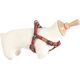 Zolux Szelki IMAO SCOTT 15 mm kol. granatowy 7544736 3336027667535