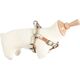 Zolux Szelki IMAO SCOTT 15 mm kol. niebieski 7544737 3336024667538