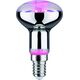 Paulmann Źródło LED Plant R50 E14 6,5W 230V prowzrostowa 8686812 4000870287347