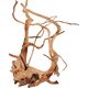 Zolux Korzeń japoński Spider Wood 40-50 cm 9598245 3336023560526