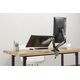 Equip Uchwyt biurkowy na 2 monitory 17" - 32" (650121) 10035363 4015867224373