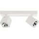 Lampa sufitowa Italux Lampa reflektor spot LED 10W AVEIRO SPL-31981-2B-WH Italux 10400132 5900644430223