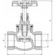 Hydroland ZAWÓR PRZELOT. WODNY ŻELIWNY 2" HYDROLAND // ZPŻ.H.50 10587687 5900308746677
