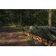Plandeka Bradas Plandeka kamuflażowa moro CAMOforest 8 x 10m 90 g. 12513935 5907544446422