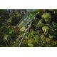 Plandeka Bradas Plandeka kamuflażowa moro CAMOforest 3 x 3m 90 g. 12516308 5907544446323
