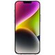 Rifle Paper Clear - Etui iPhone 14 Plus (Willow) 12517586 840171720716