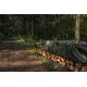 Plandeka Bradas Plandeka kamuflażowa moro CAMOforest 10 x 15m 90 g. 12563664 5907544446453