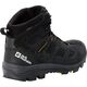 Buty trekkingowe męskie Jack Wolfskin Buty trekkingowe męskie Jack Wolfskin VOJO 3 TEXAPORE MID M (4042462_6055) 42.5 12731342 4064993754865