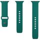 Puro Pasek PURO ICON Apple Watch 4/5/6/7/SE/8 40/41mm (S/M & M/L) (Jade) 12930661 8018417442414