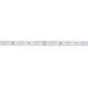 Taśma LED Prescot Prescot EH024-100-10-RGB taśma LED 36W biała 13246828 5902596558635