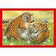 Clementoni PUZZLE 4W1 CLM 21532 BABY CUDDLES PUD 13276824 8005125215324