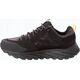 Buty trekkingowe męskie Jack Wolfskin Jack Wolfskin Terraquest Texapore Low M 4056401-6000 szary 45 13304370 4064993722505