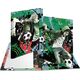 Herma HERMA  Sammelmappen A4 Karton Street Soccer 13305909 4008705196604