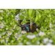 Gardena Gardena 13317-20, In-line mounting, 2 l/h, Black, Plastic 13328254 4078500059510