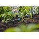 Gardena Gardena 13317-20, In-line mounting, 2 l/h, Black, Plastic 13328254 4078500059510